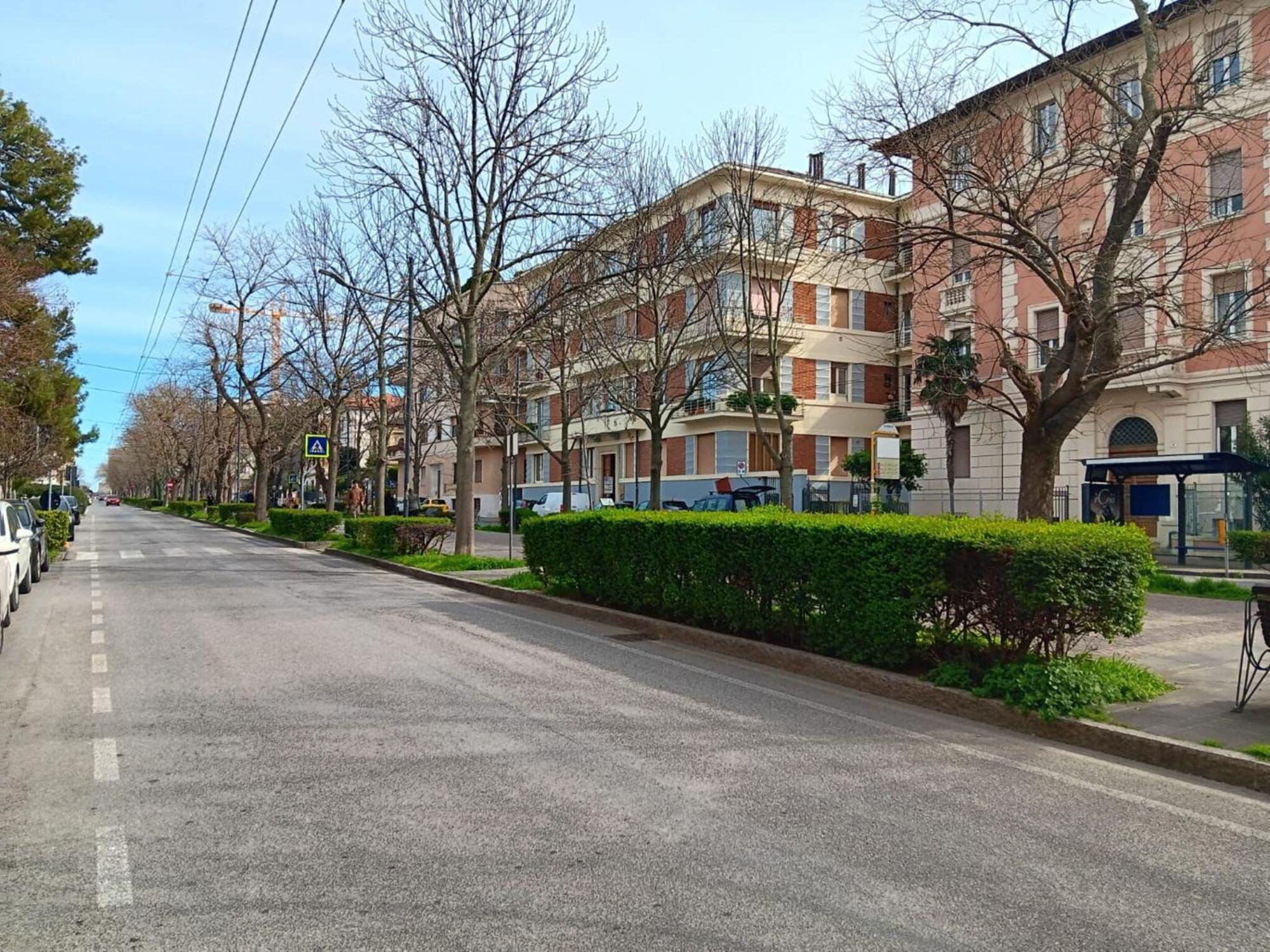 Italian Experience- Ancona City Apartment Eksteriør billede